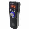 RADIO SANKEY PORTATIL BLUETOOTH R460BT