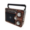 RADIO PORTATIL LAMPARA BT SANKEY R482BT