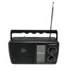 RADIO USB AM FM SANKEY R799USB